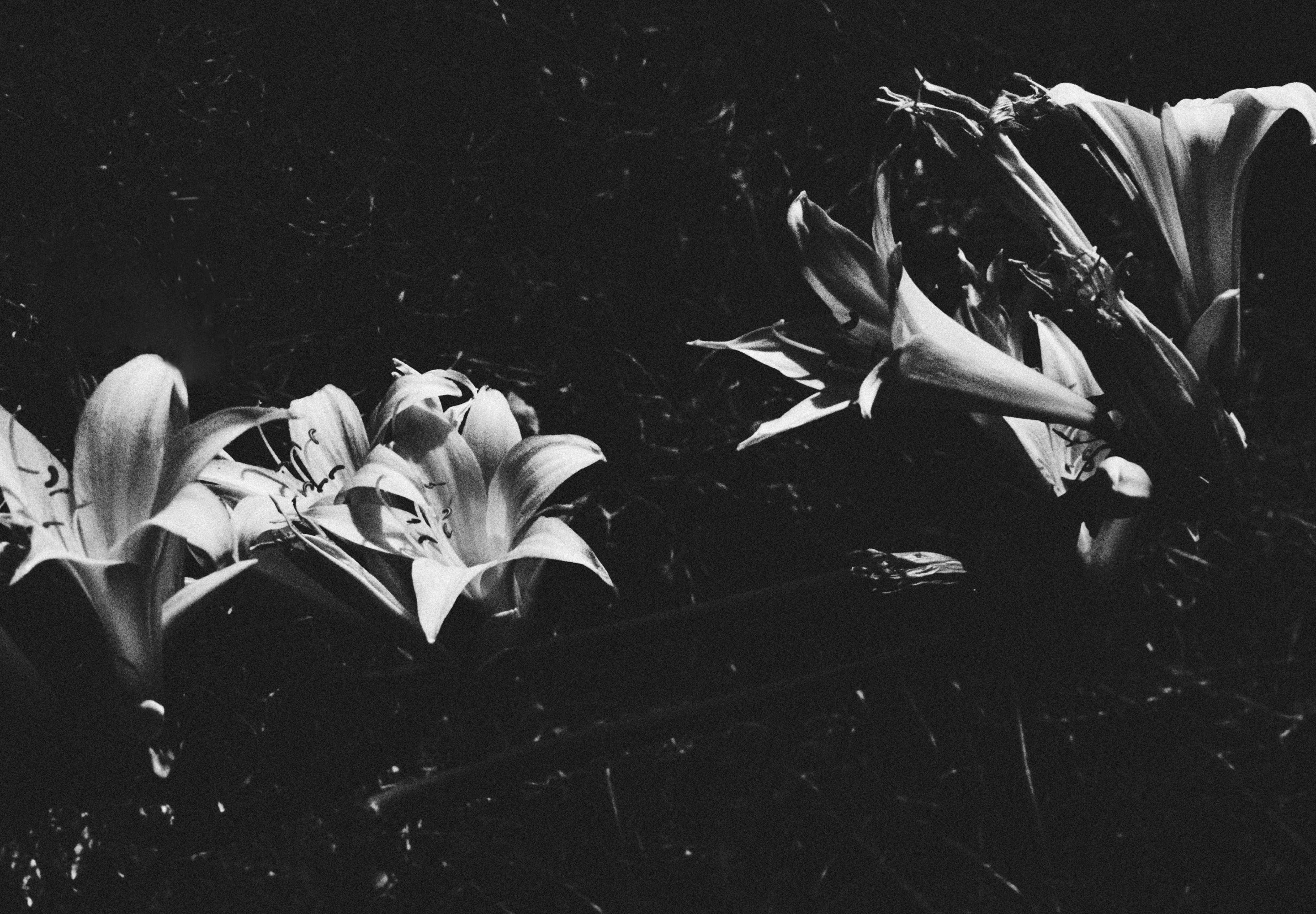 051025_des_cottage_edit_m_15