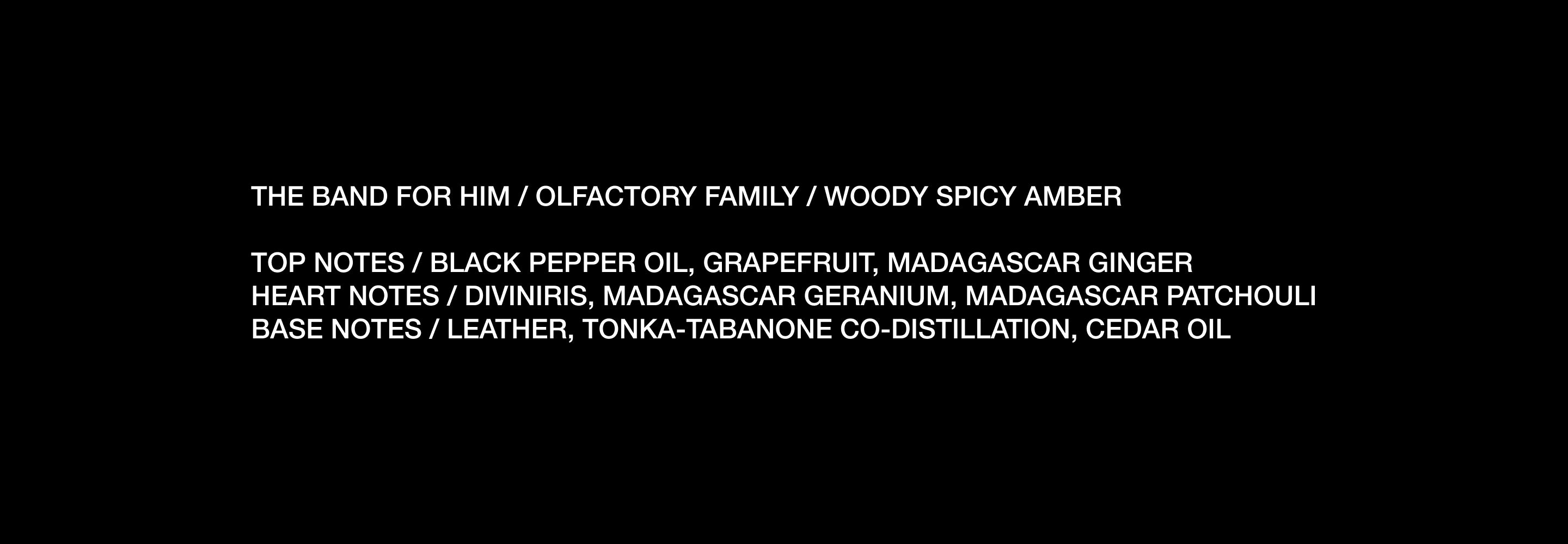 090925_des_theband_09