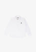 POLO OXFORD MANCHES LONGUES SKULL CONTRASTANT