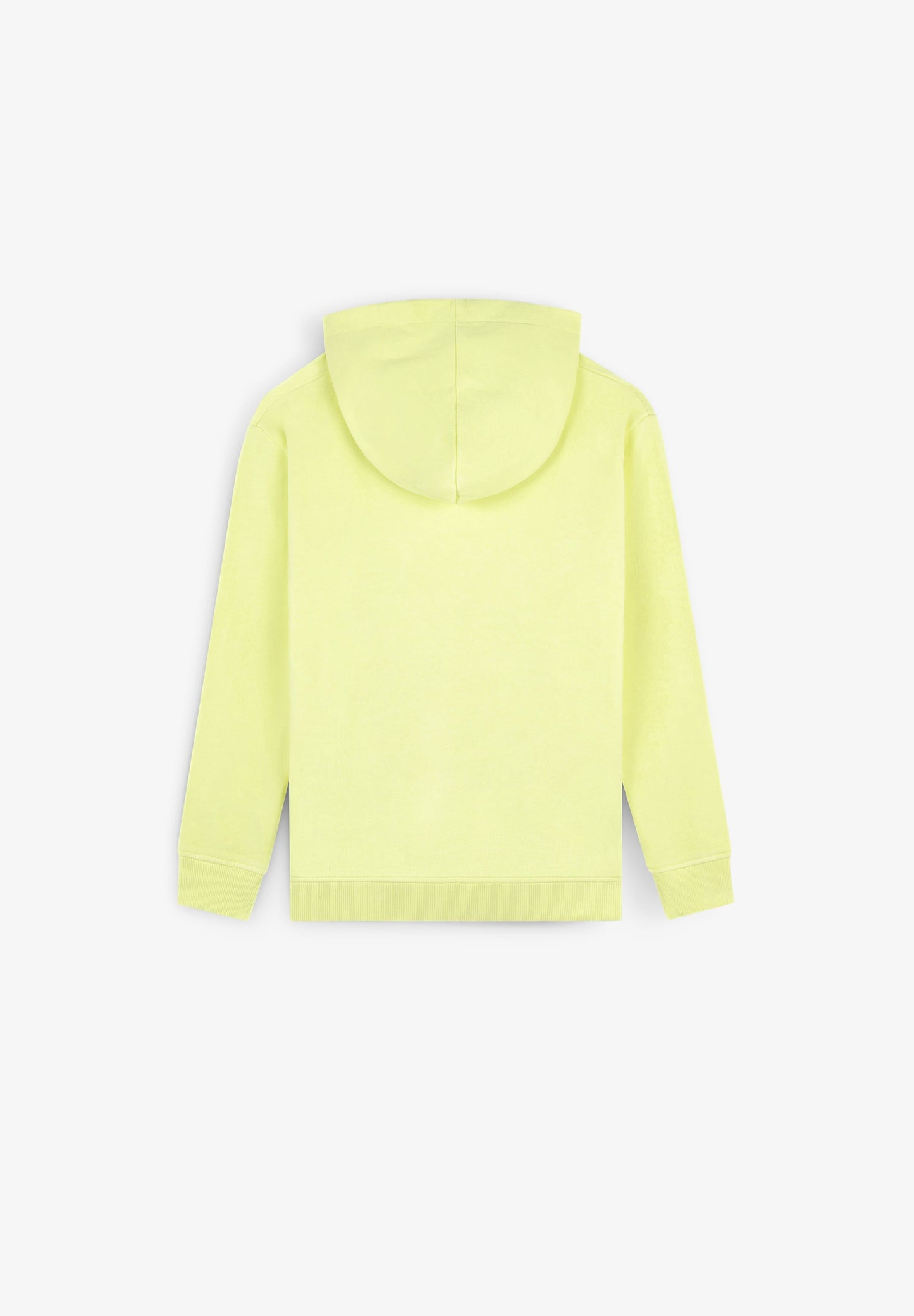 HOODED SWEATSHIRT WITH PUFF PRINT DETAILS