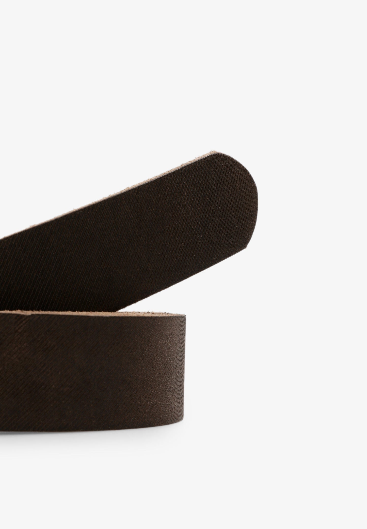 SCSTRIPES SKULL BELT