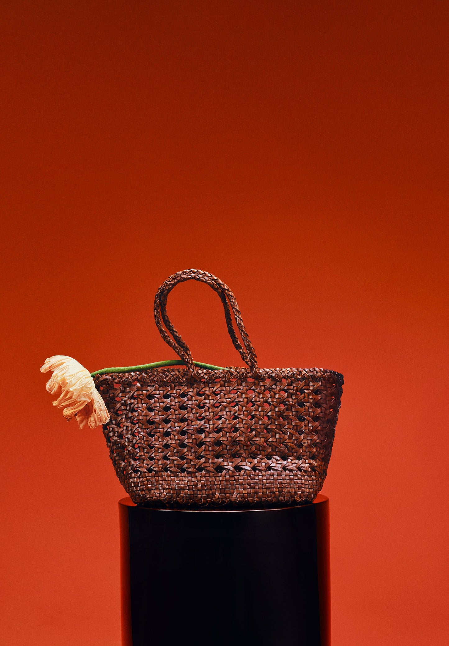 BRAIDED LEATHER BAG