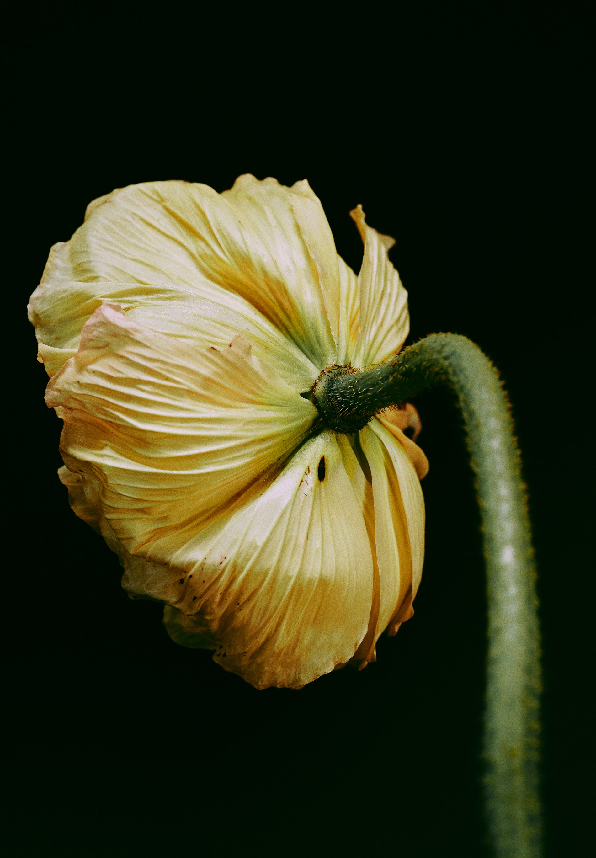 BRAIDED LEATHER CROSSBODY BAG