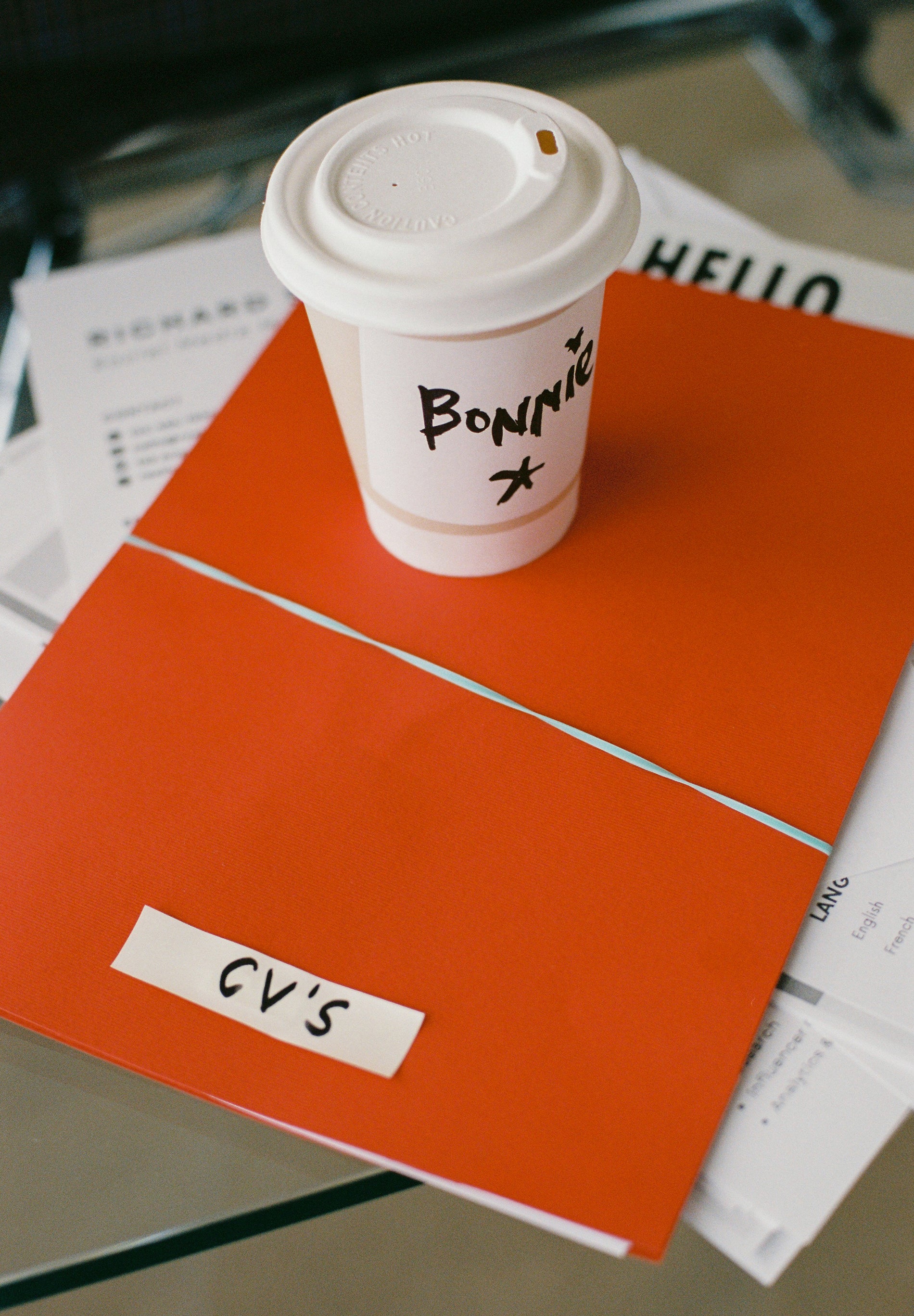 PINSTRIPE BOMBER JACKET