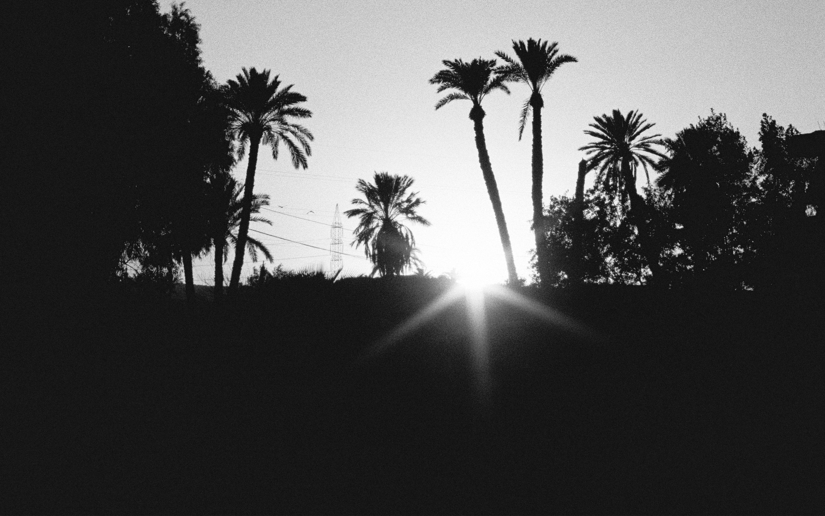 rocket-scalpers-hero-banner