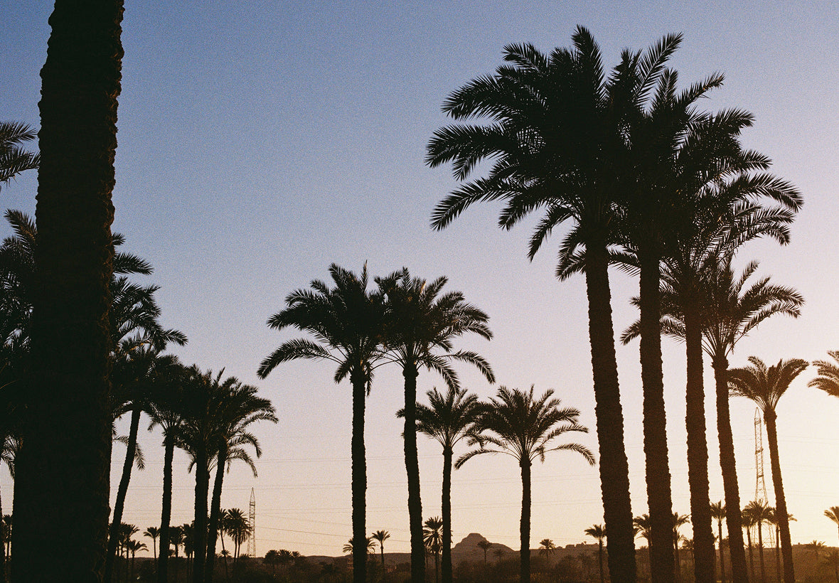 mob_150326_cairo_m_19